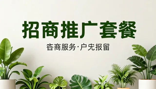 信息对接中的常见问题与有效解决策略